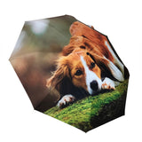 Custom Aluminium Fiberglass Windproof Auto Open Close Three Folding Sun and Rain Umbrella