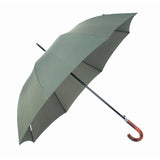 Branded Good Price 8panels Colorful Unisex Stromproof Automatic Open Straight Umbrella