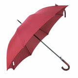 Branded Good Price 8panels Colorful Unisex Stromproof Automatic Open Straight Umbrella