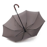 Branded Good Price 8panels Colorful Unisex Stromproof Automatic Open Straight Umbrella