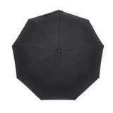 Wholesale 9 Ribs Windproof Waterproof Auto Open Close 3 Folding Umbrella